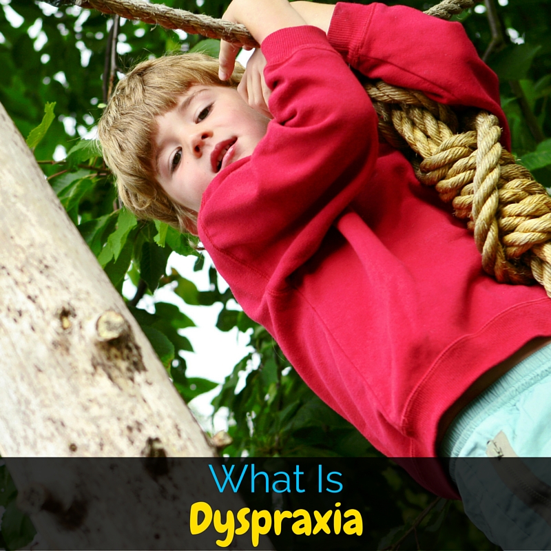 Dyspraxia is a really tough disorder to deal with, especially for kids. It is frustrating and exhausting. But what exactly is dyspraxia?