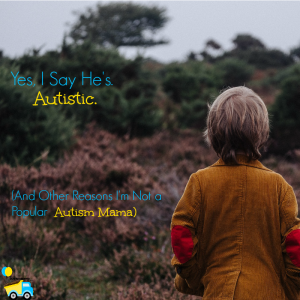 I am not too popular among other autism mamas. Today I'm sharing why I call my son autistic, and other reasons I'm not the typical autism mom.