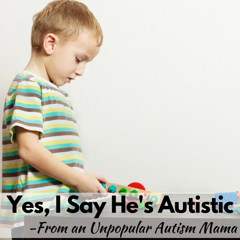 I say my son is "autistic" instead of "has autism" and that makes me pretty unpopular with autism moms!
