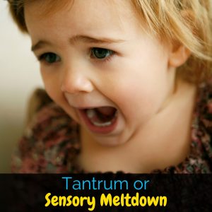 Sometimes it can be hard to tell the difference between a tantrum and a sensory meltdown, but they're very different! Here are a few hints!