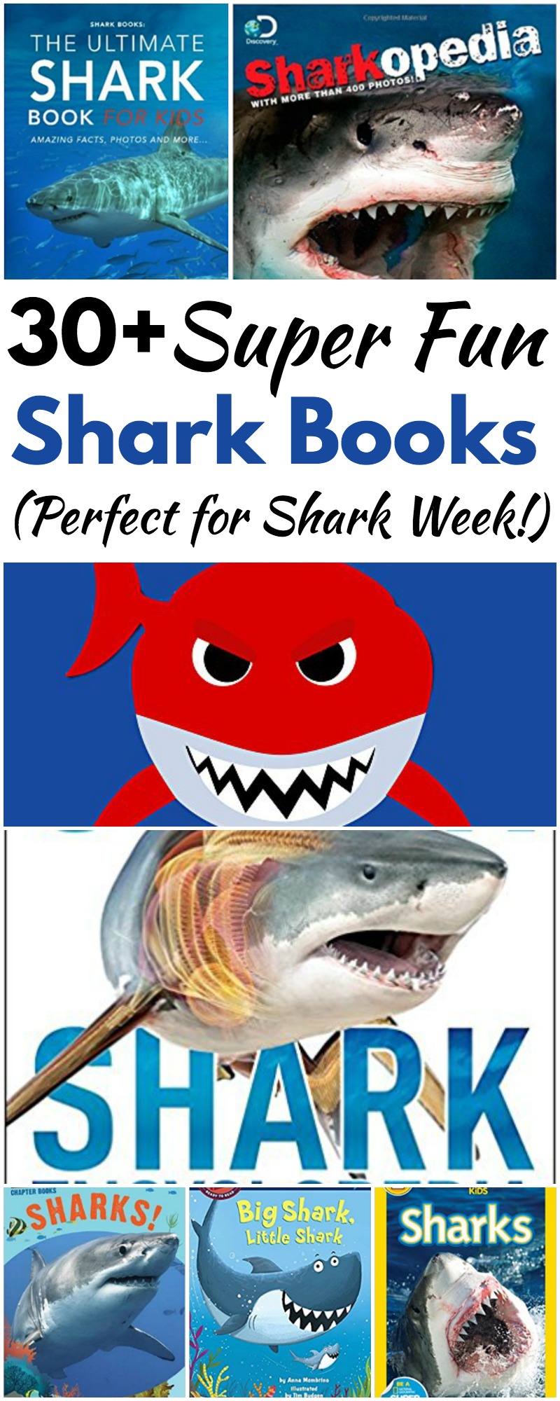 30+ Super Fun Shark Books Perfect for Shark Week