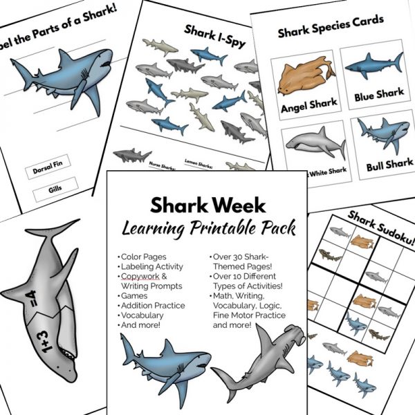 Shark Week Printable Learning Pack for a fun Shark Unit Study