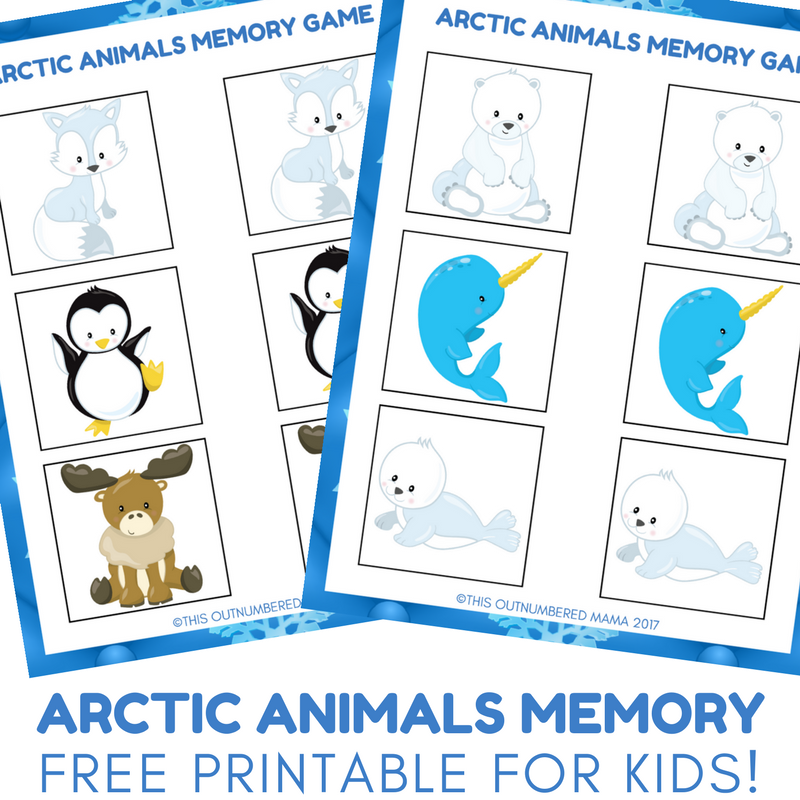 Arctic Animals Memory Game | Free Preschool Printable for Arctic Animal Unit Studies