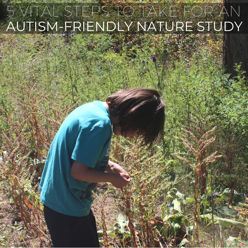 5 Steps You Must Take for an Autism-Friendly Nature Study