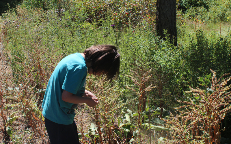 5 Steps You Must Take for an Autism-Friendly Nature Study